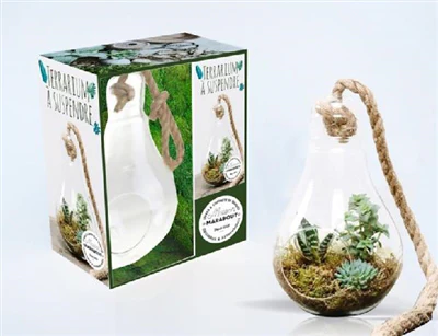Miniature 1