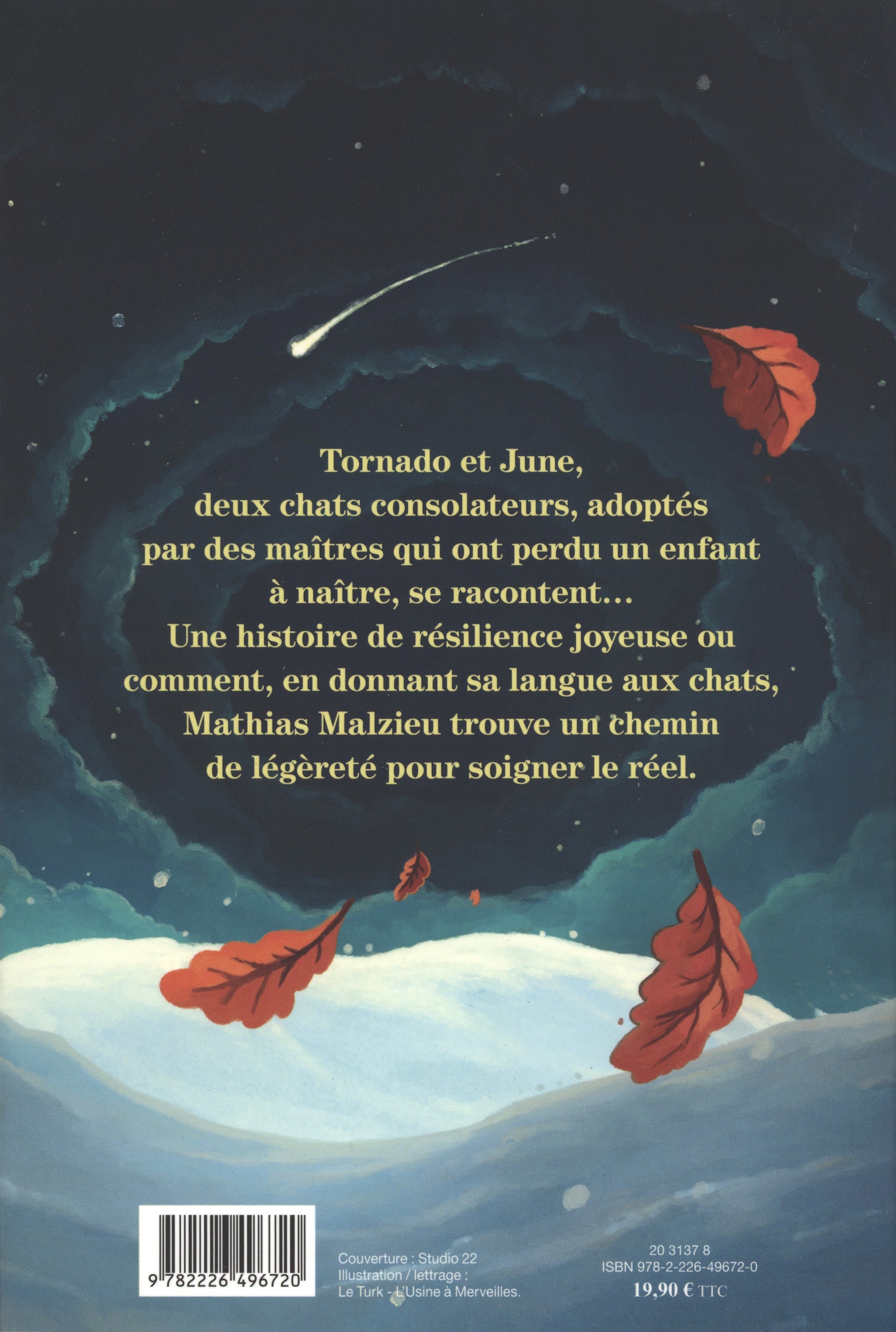 Image du produit 2